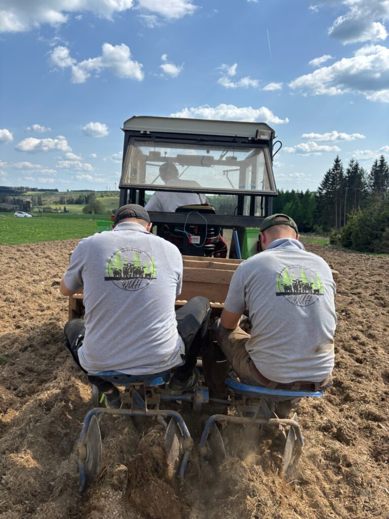 QUH Kartoffeln setzen Langenau 