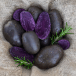 Kartoffeln der Sorte Blaue Anneliese