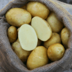 gelbe Kartoffeln der Sorte Otolia