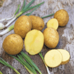 gelbe Kartoffeln der Sorte Linda